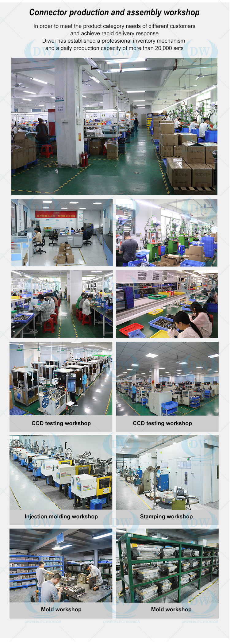 M12 Y-code hybrid connector cable assembly